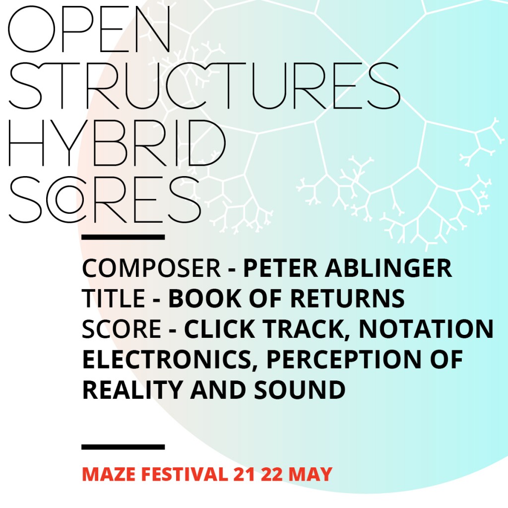 Facebook campaign MAZE festival